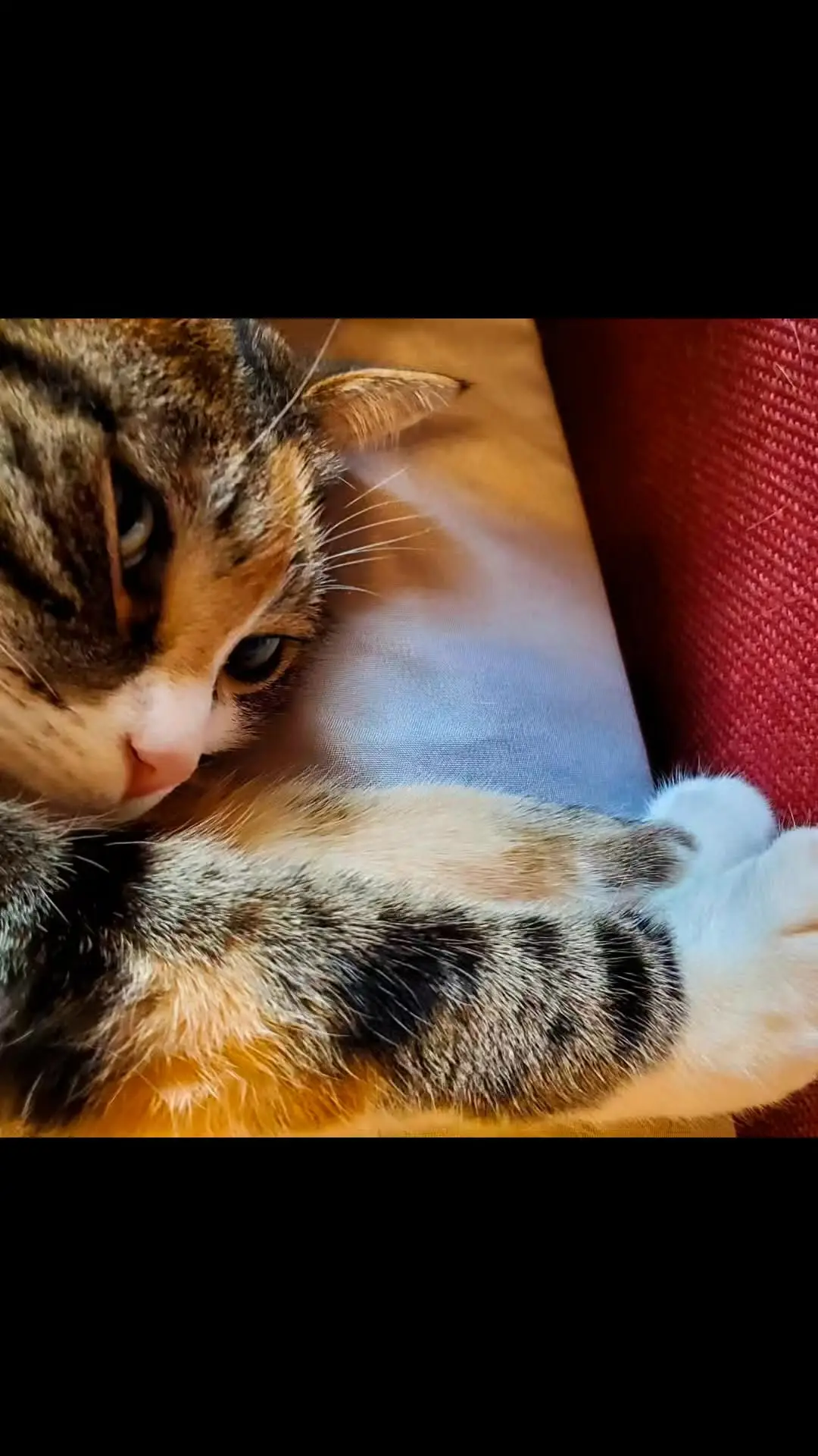 Instagram post thumbnail