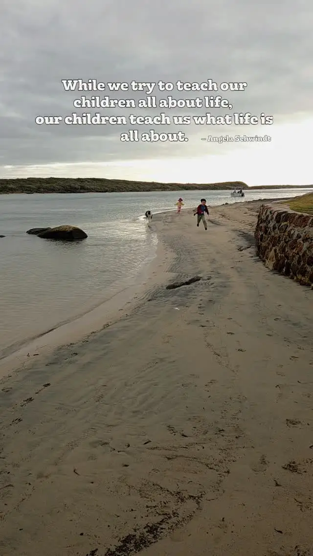 Instagram post preview 2 from shalestagram