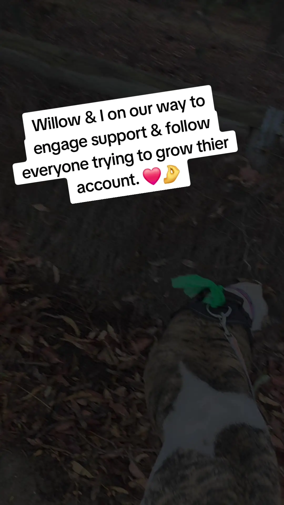 Tiktok post preview 1 from @chaos_butmakeit_cute