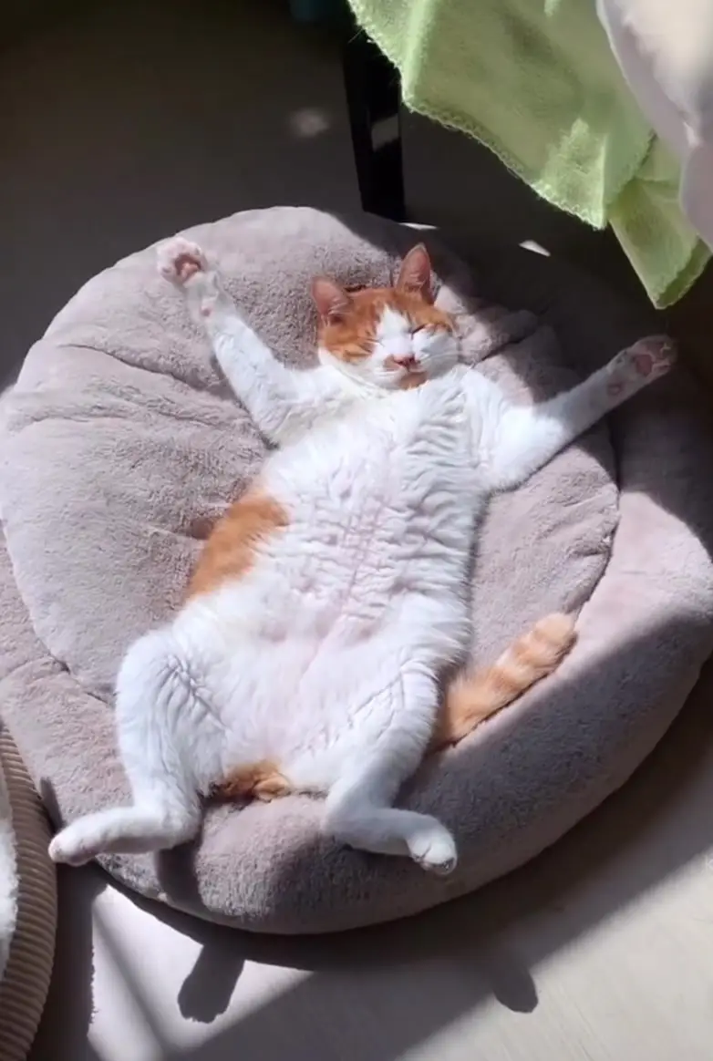 Tiktok post thumbnail