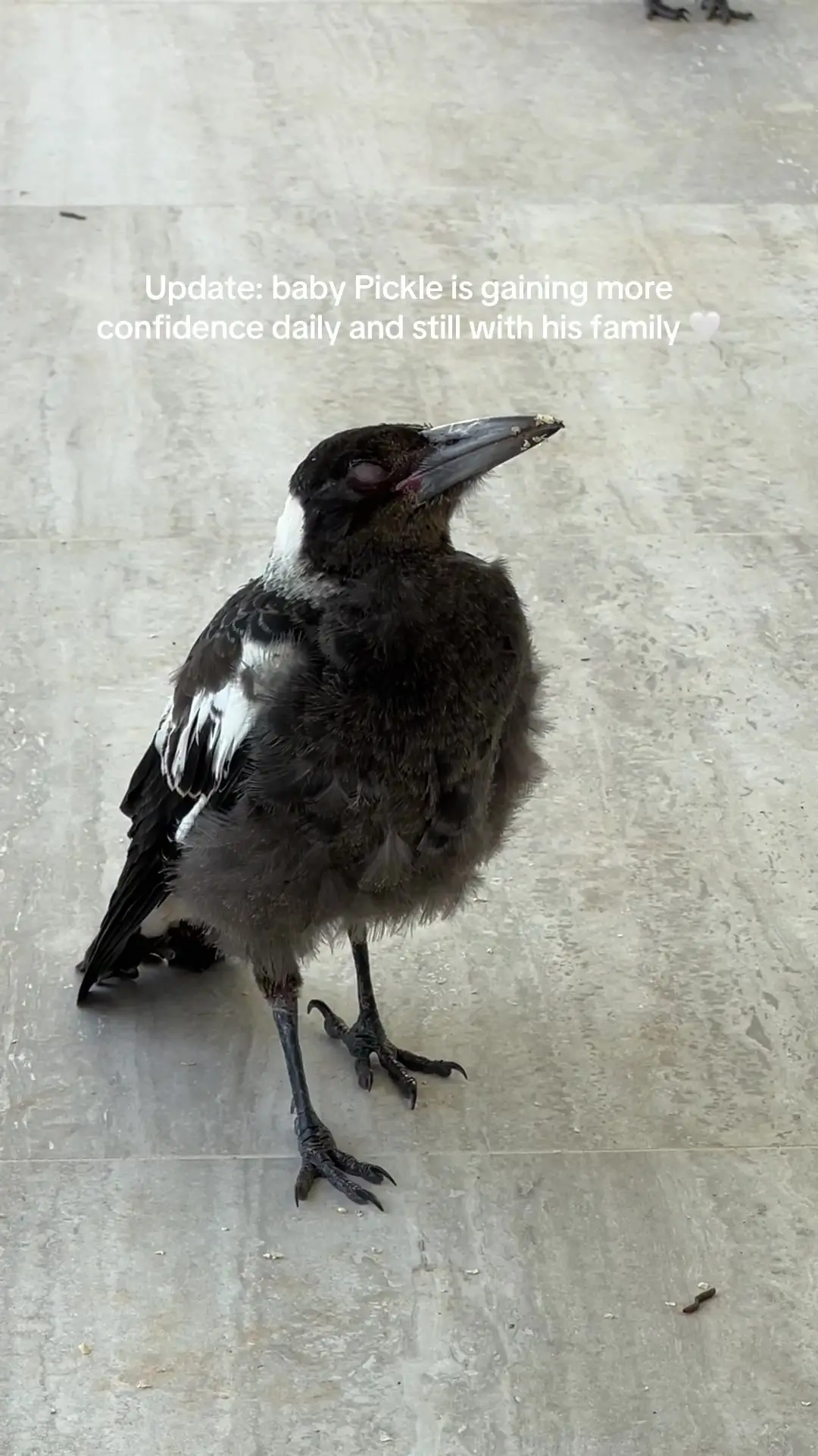 Tiktok post thumbnail