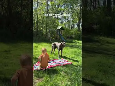 Youtube post preview 3 from UChzxNec5IXIaAjaRqVtJ_og