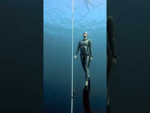 Youtube post preview 3 from UCJTdaK6ODYb_FFMzcX7GNyg