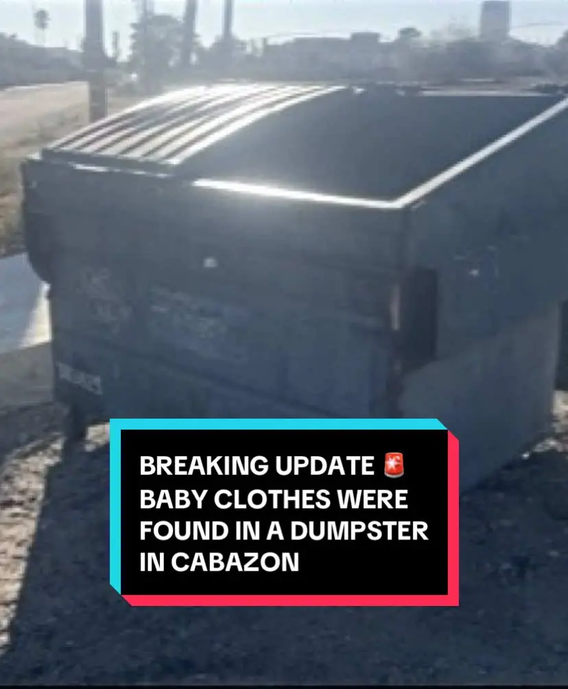 Tiktok post preview 2 from @crimesandtheories