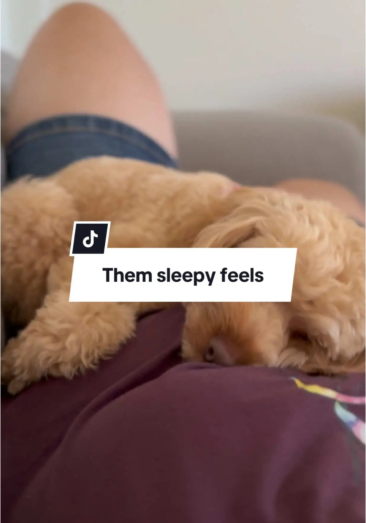 Tiktok post thumbnail