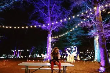 Instagram post thumbnail