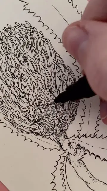 Instagram post thumbnail