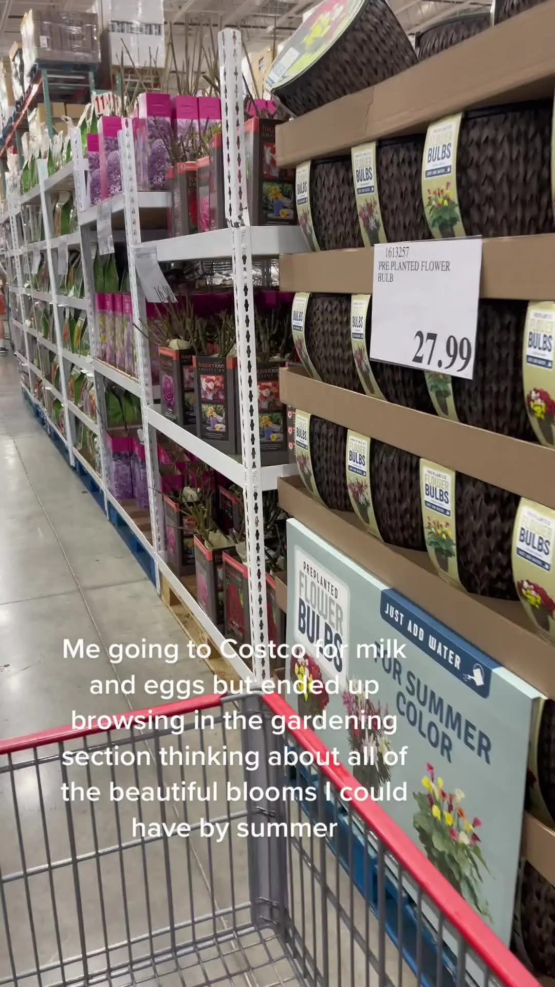 Tiktok post preview 2 from @gardenofadreamer