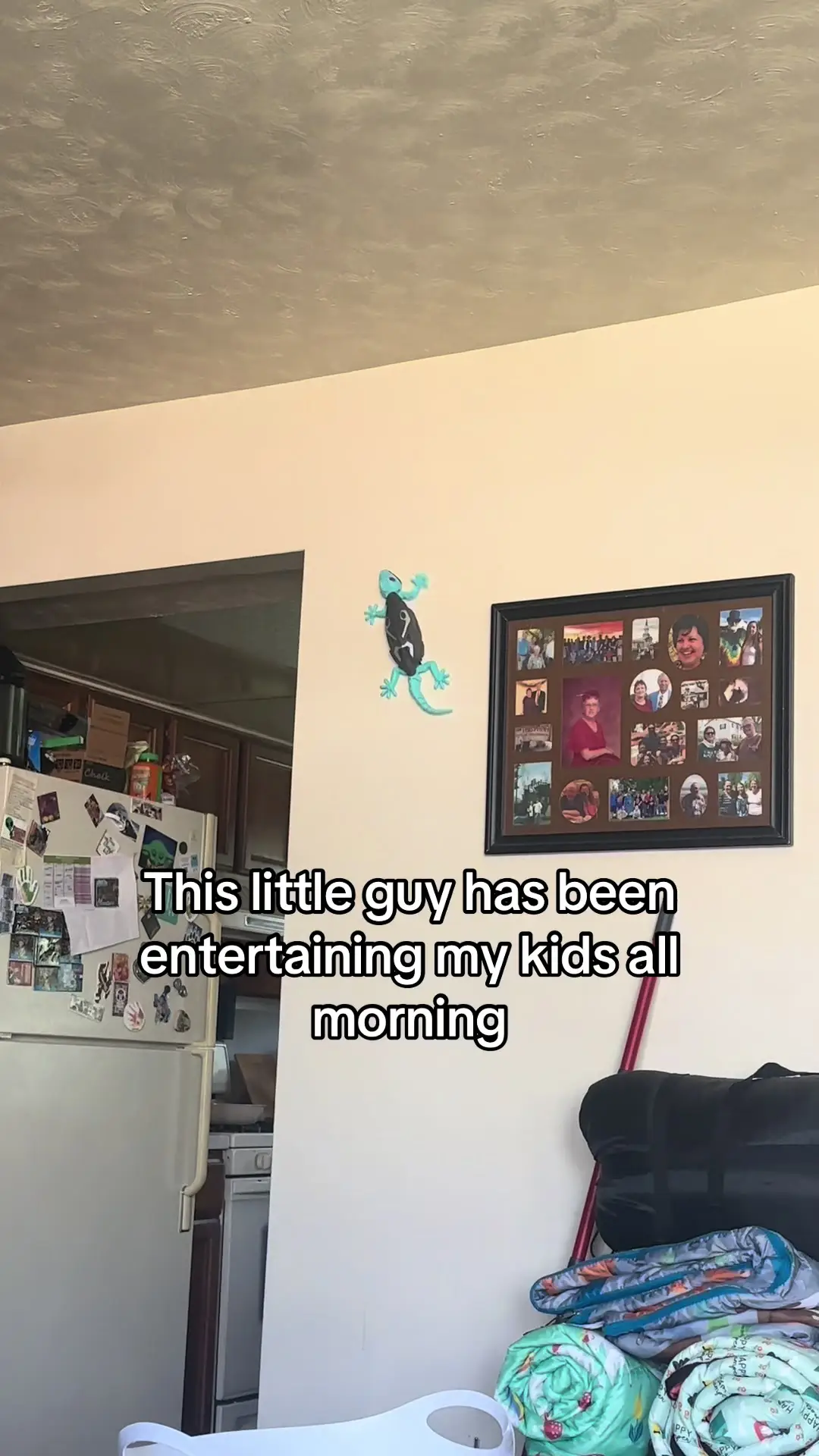 Tiktok post thumbnail