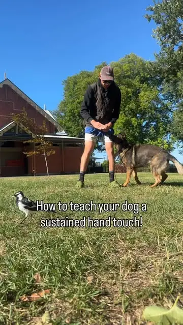 Instagram post thumbnail