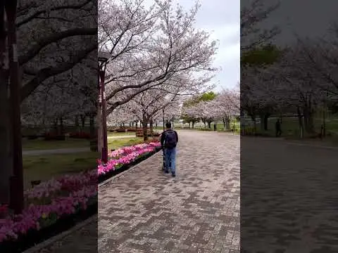 Youtube post preview 2 from UCSD1xW-GsWk21Uy6fc_6TNQ