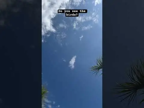 Youtube post preview 2 from UCiarwf4y48KrMwt1_j3Zd5w