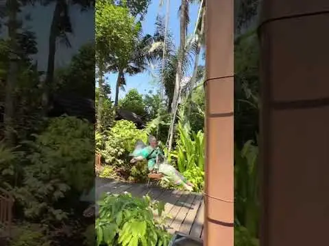 Youtube post preview 2 from UCloixVhcSQsI_Ku3S6tmsmQ
