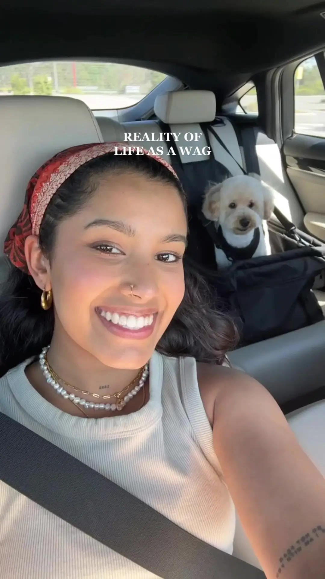 Tiktok post preview 3 from @sharon.de.silva84