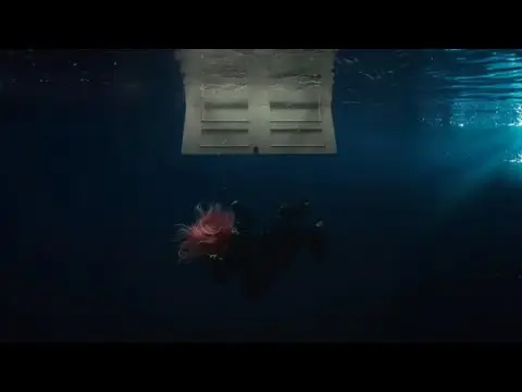 Youtube post preview 2 from UCzyVWH_Q1aBNbzTX-3cqsDA