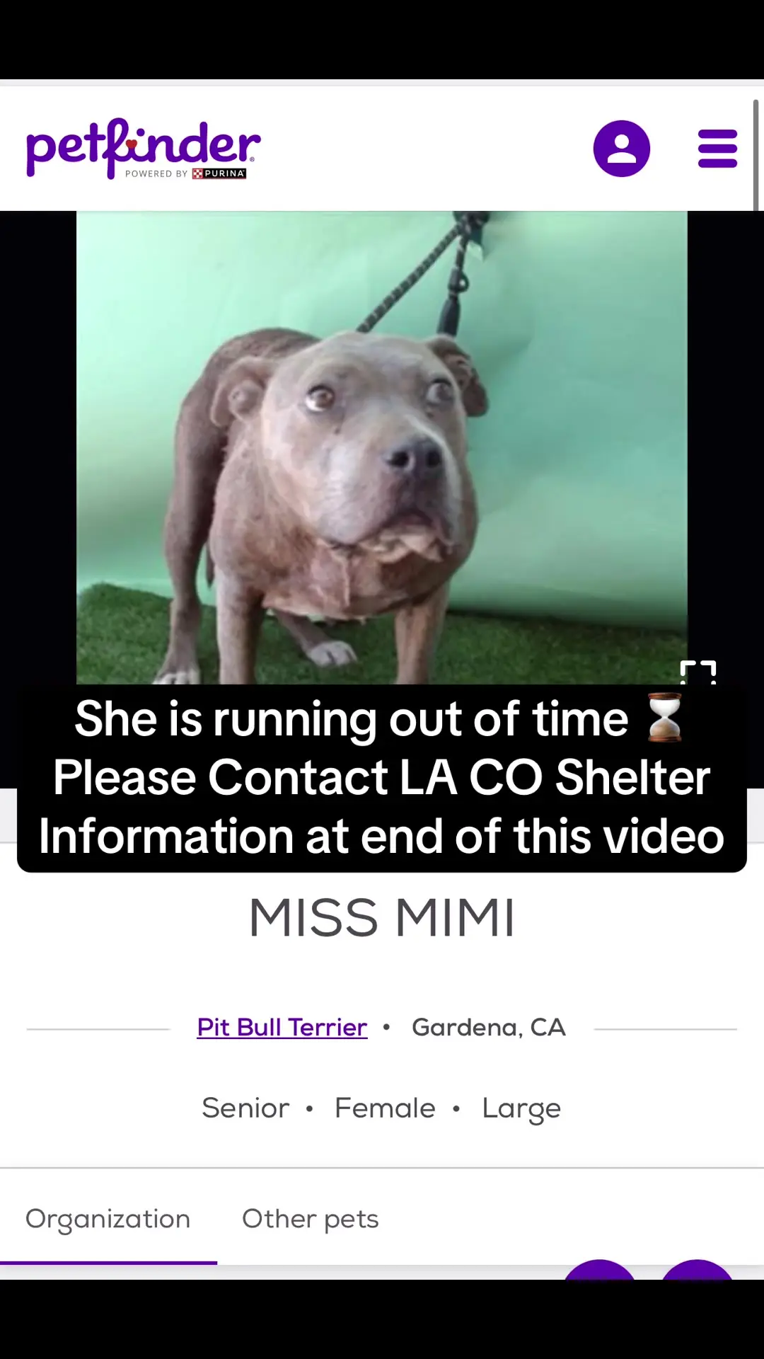 Tiktok post preview 1 from @annascuties
