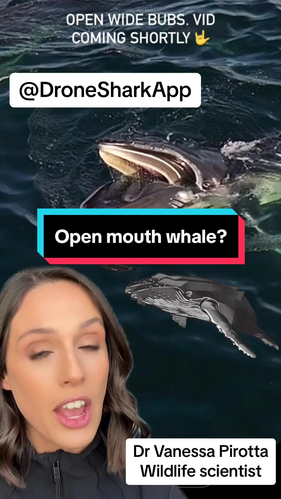 Tiktok post preview 3 from @drvanessapirotta
