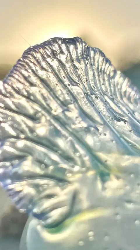 Instagram post thumbnail