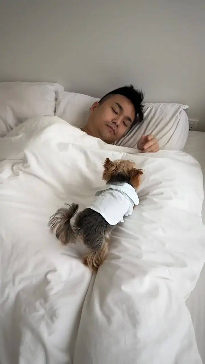 Instagram post preview 2 from yuzutheyorkie