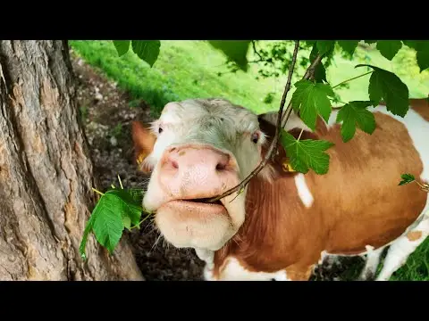 Youtube post thumbnail