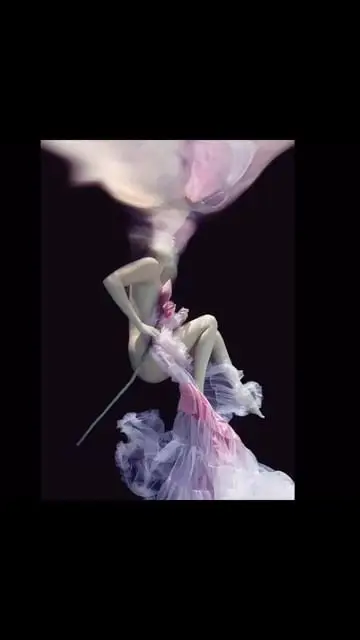 Instagram post thumbnail