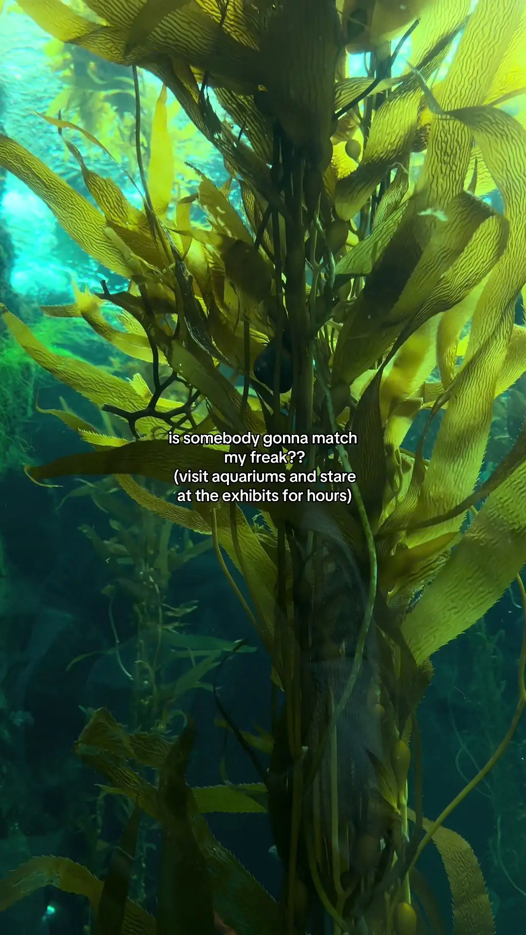 Tiktok post preview 1 from @margahreetah