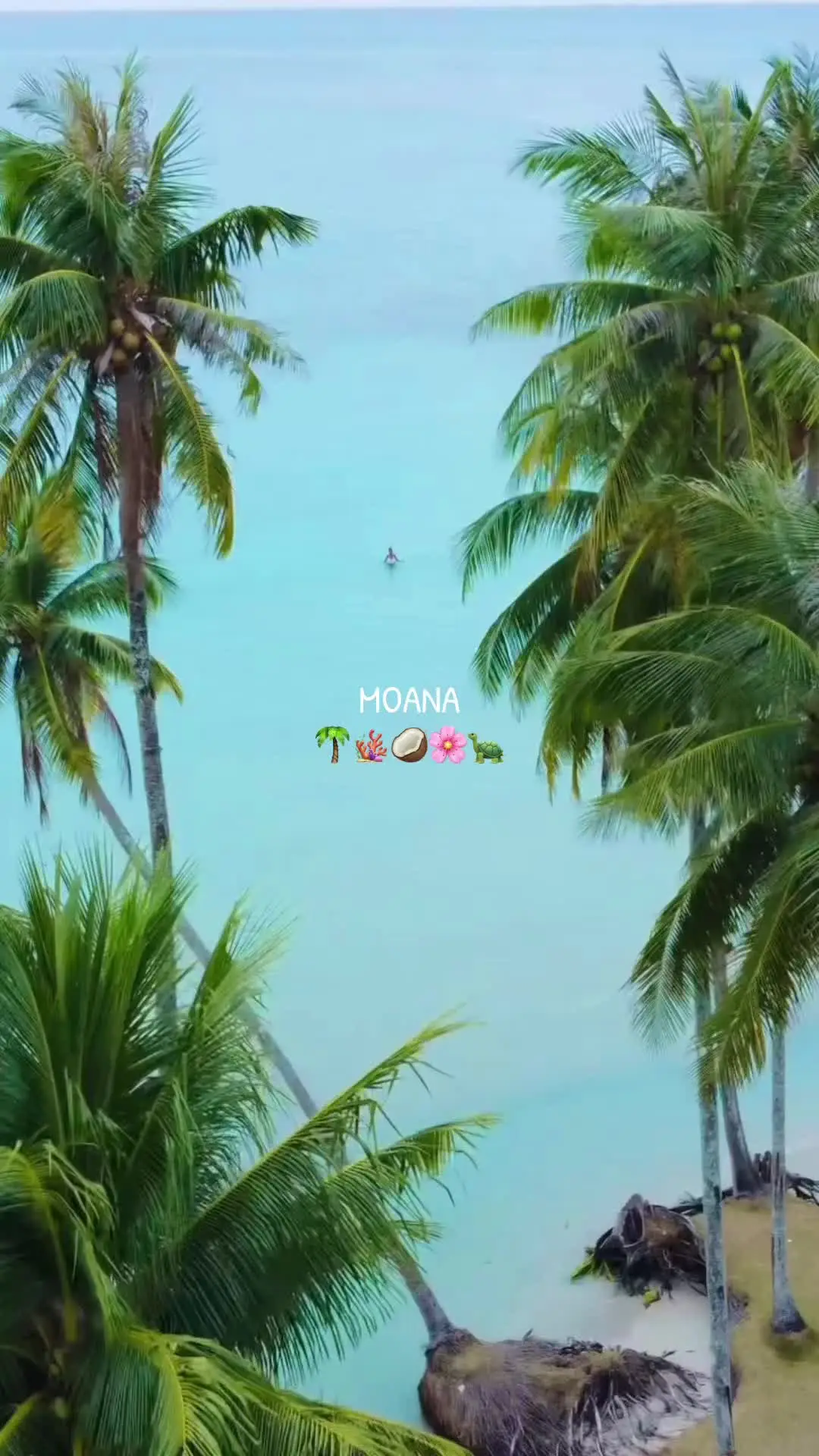 Tiktok post preview 1 from @worldofaino