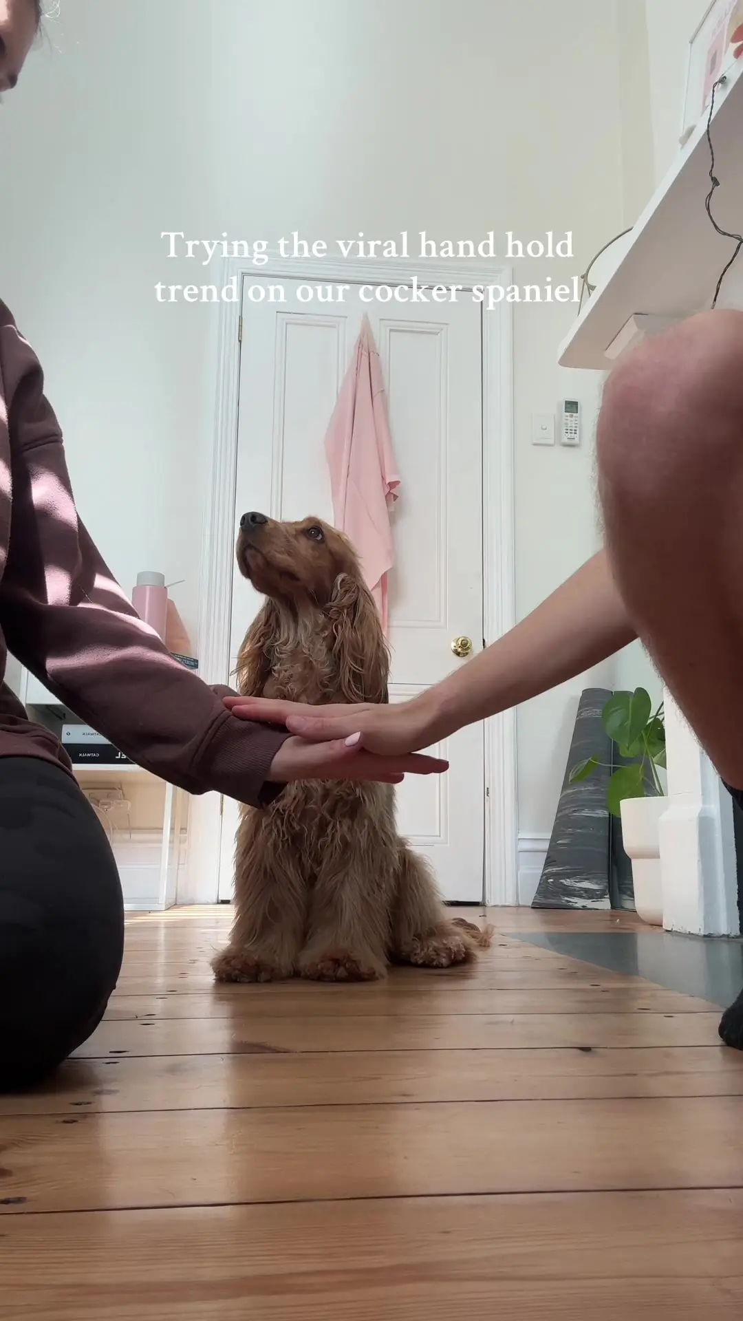 Tiktok post thumbnail