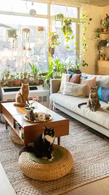 Instagram post preview 3 from welcometothejunglehome