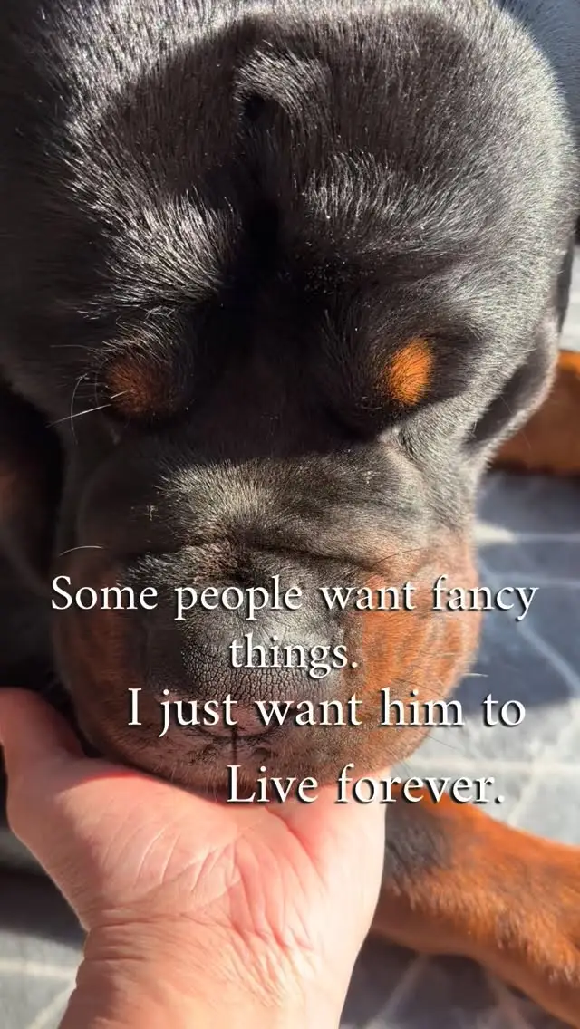 Instagram post preview 3 from marie_and_rico