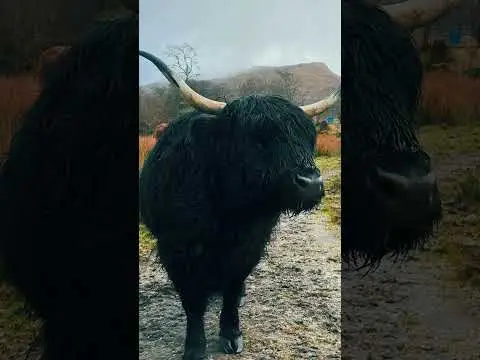 Youtube post thumbnail