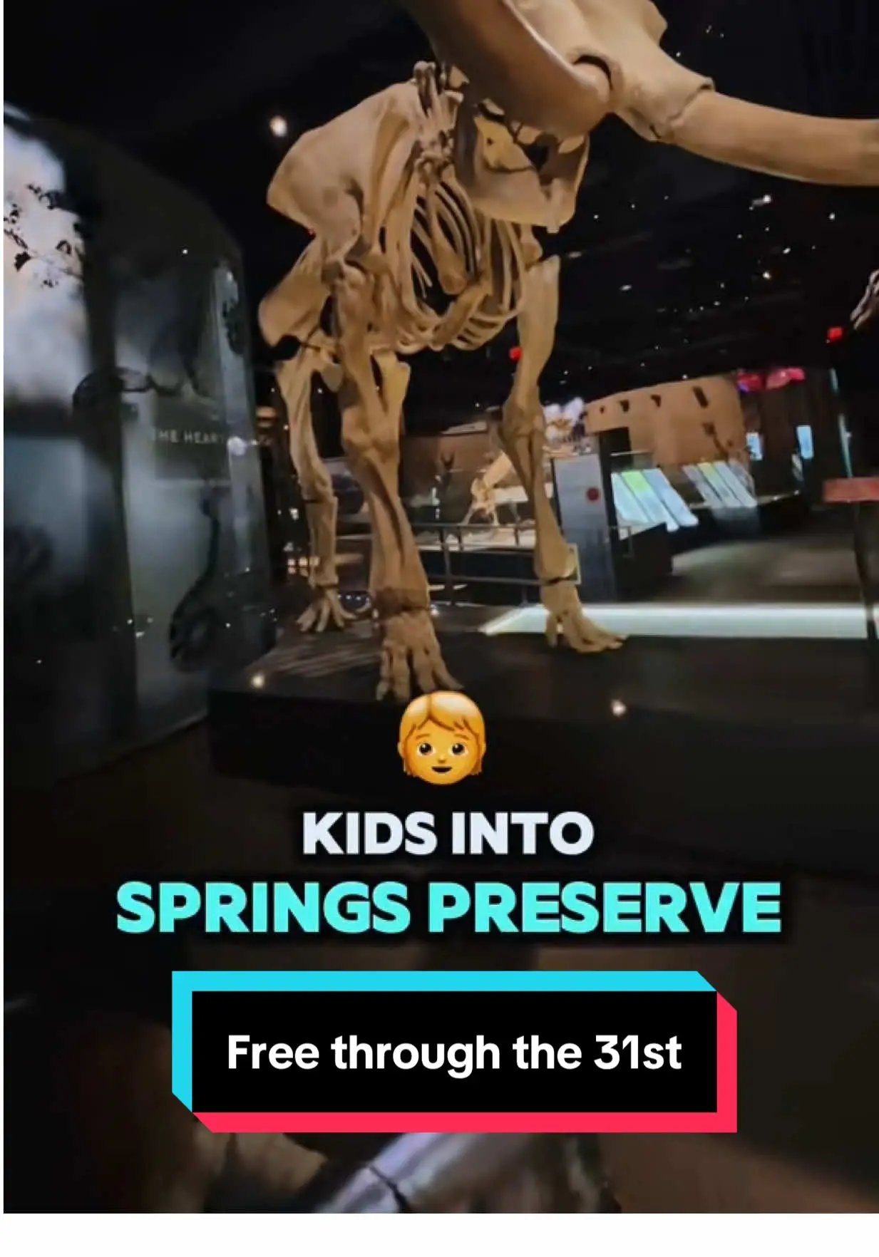 Tiktok post preview 1 from @familyadventureslv