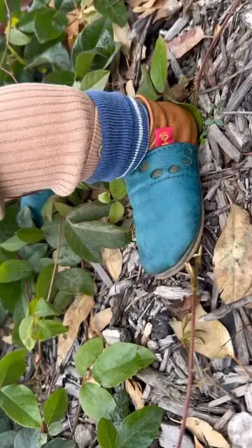 Instagram post thumbnail