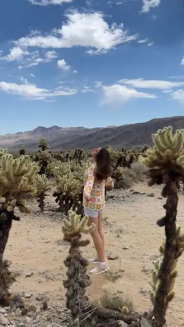Instagram post thumbnail