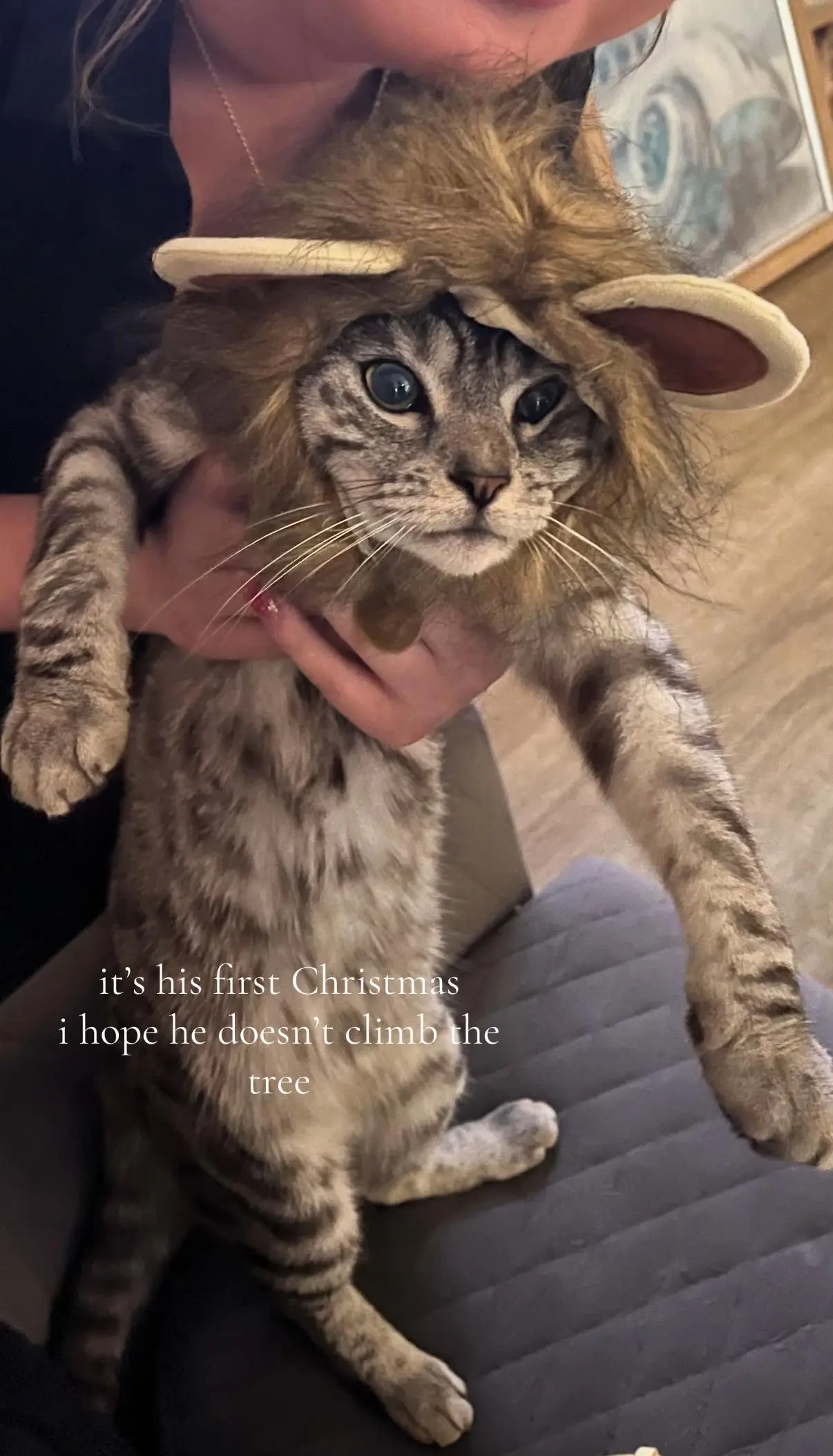 Tiktok post thumbnail