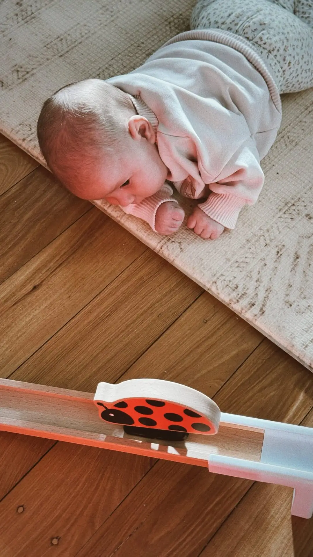 Instagram post preview 2 from kendraoliviaa