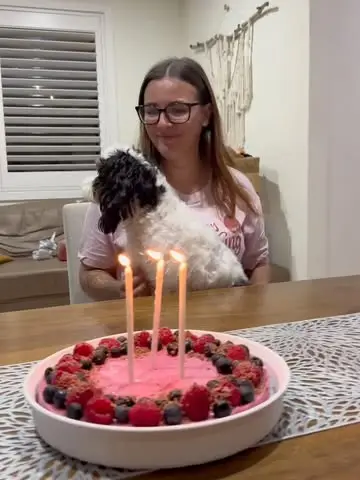 Instagram post thumbnail