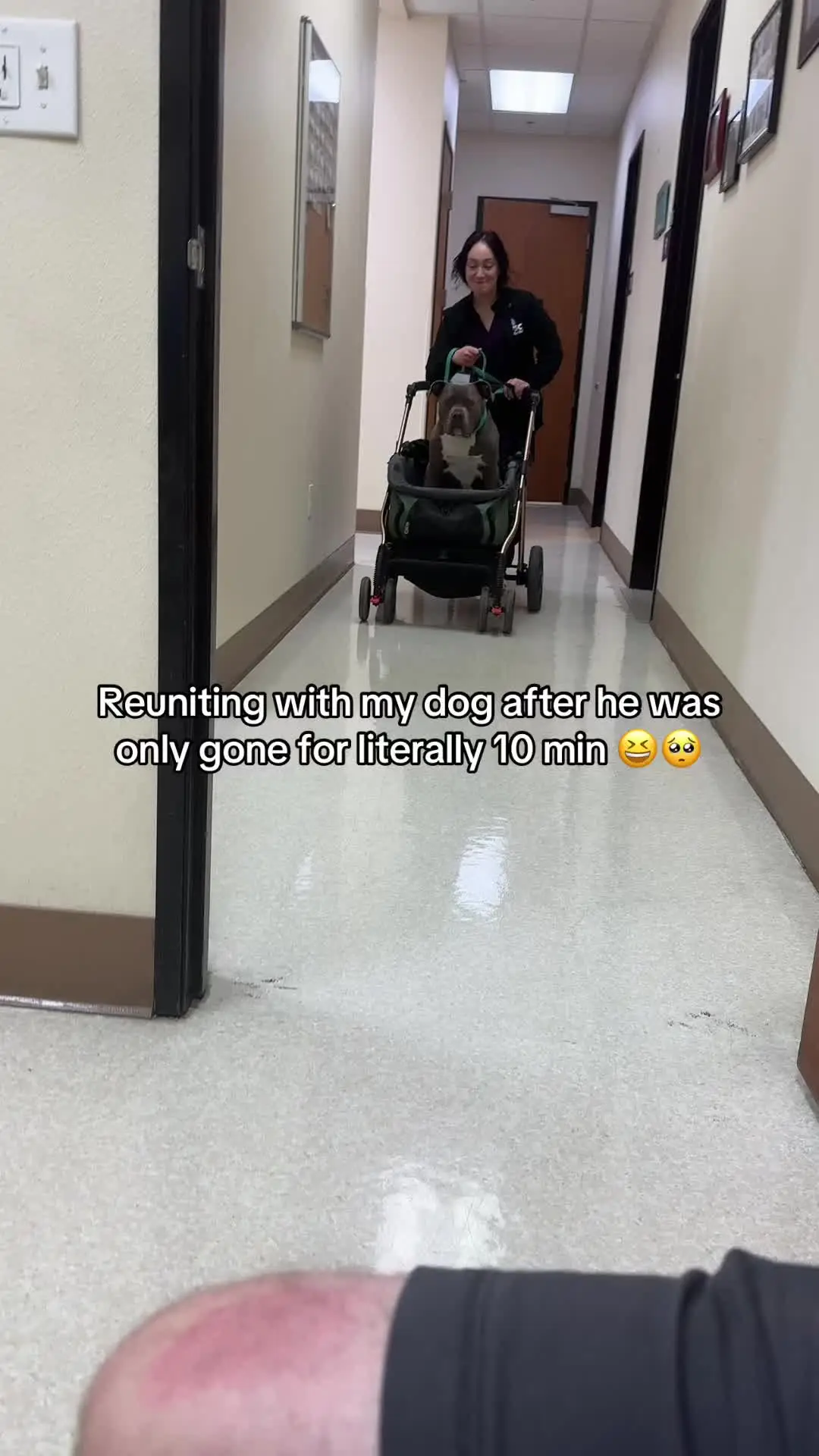Tiktok post thumbnail