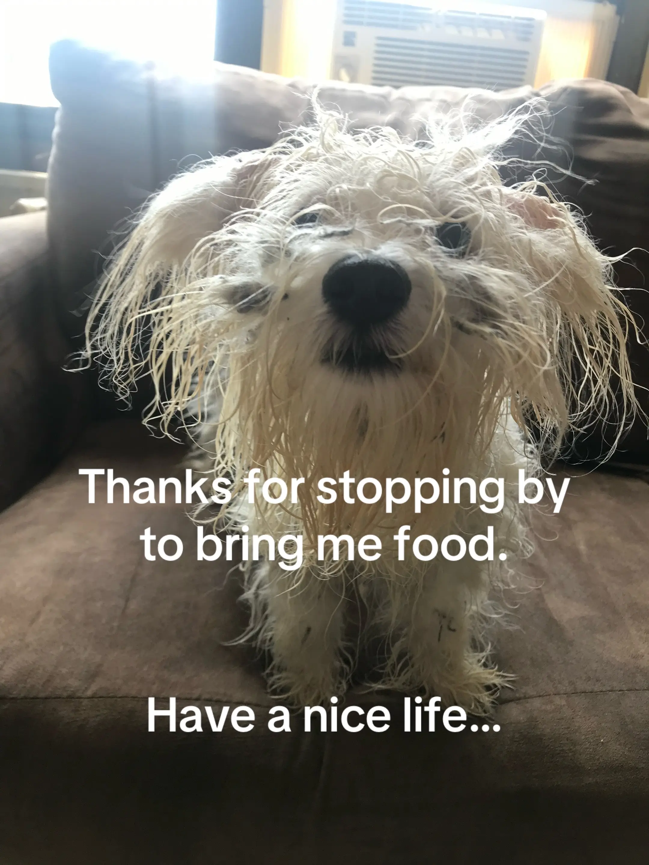 Tiktok post thumbnail