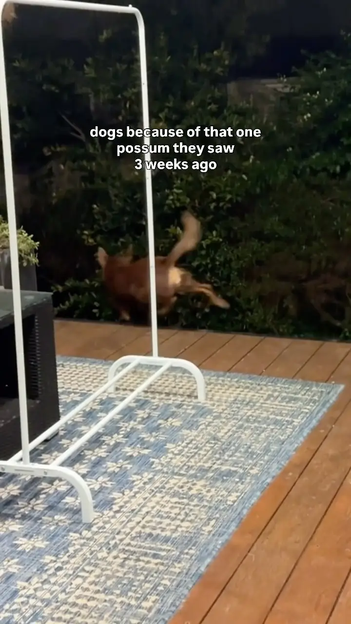 Instagram post thumbnail