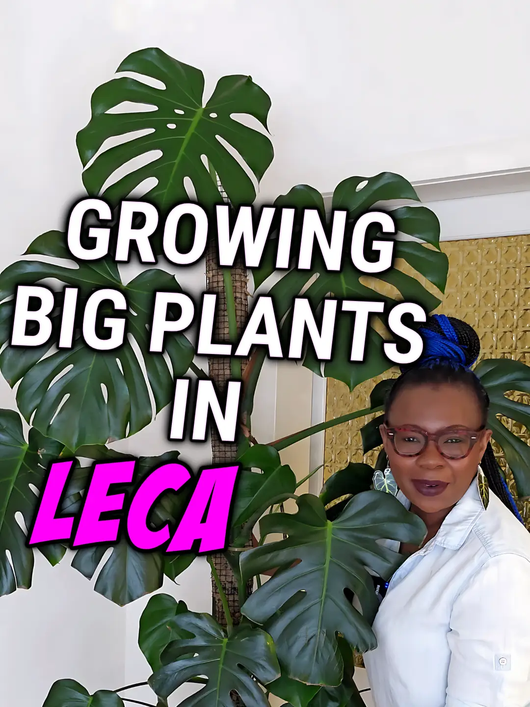 Tiktok post preview 3 from @thelecaqueen