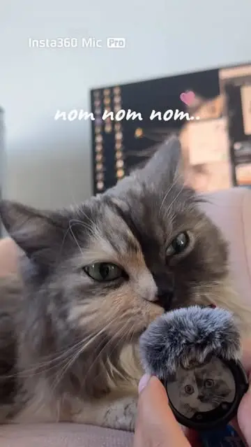 Instagram post thumbnail