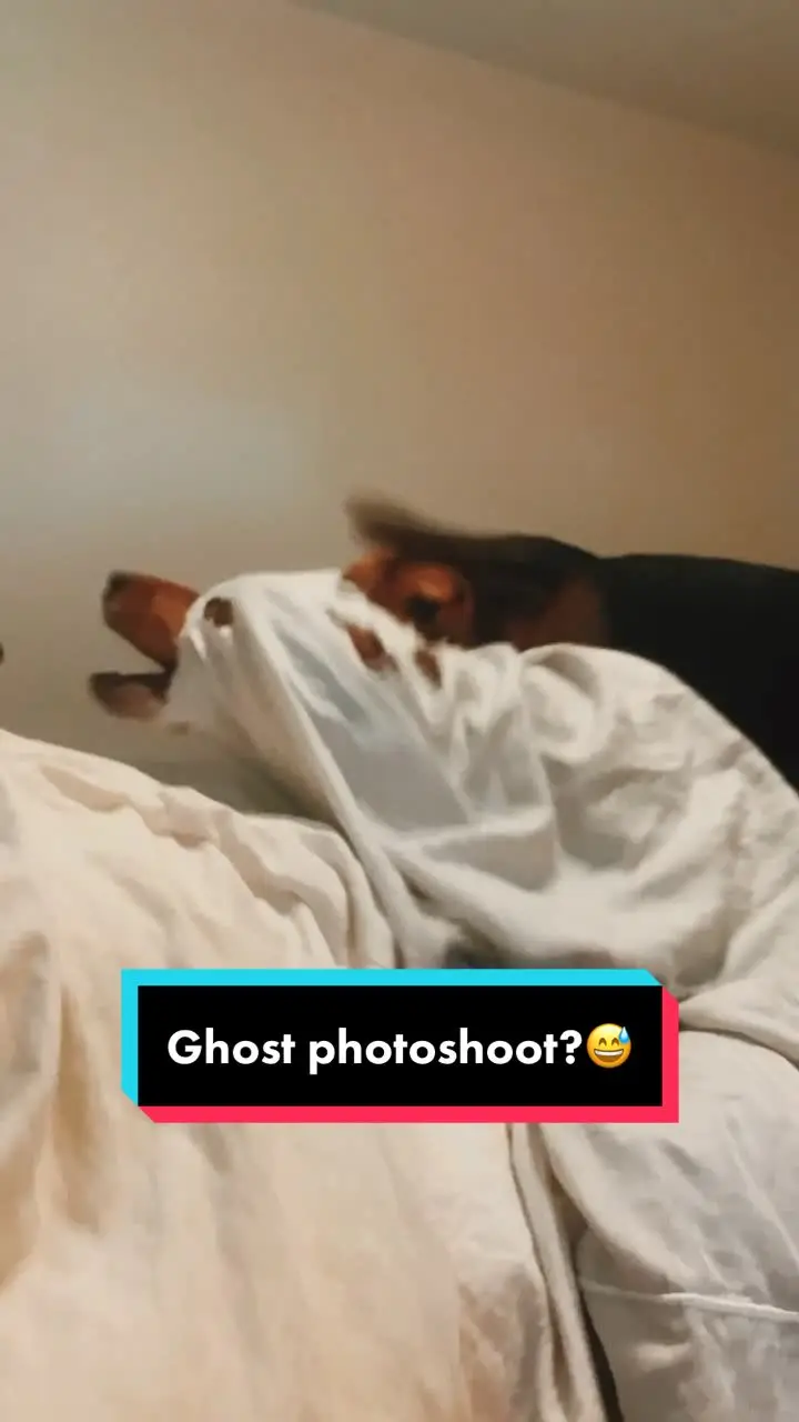 Tiktok post preview 2 from @theguidedtravels