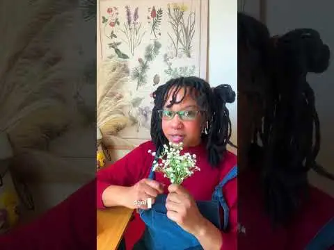 Youtube post preview 3 from UCueNzcVqaYR6Zk4DLCC7H9A