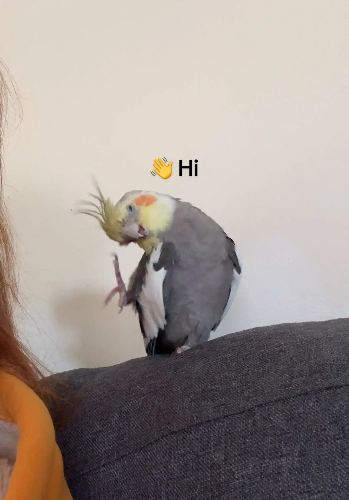 Tiktok post thumbnail