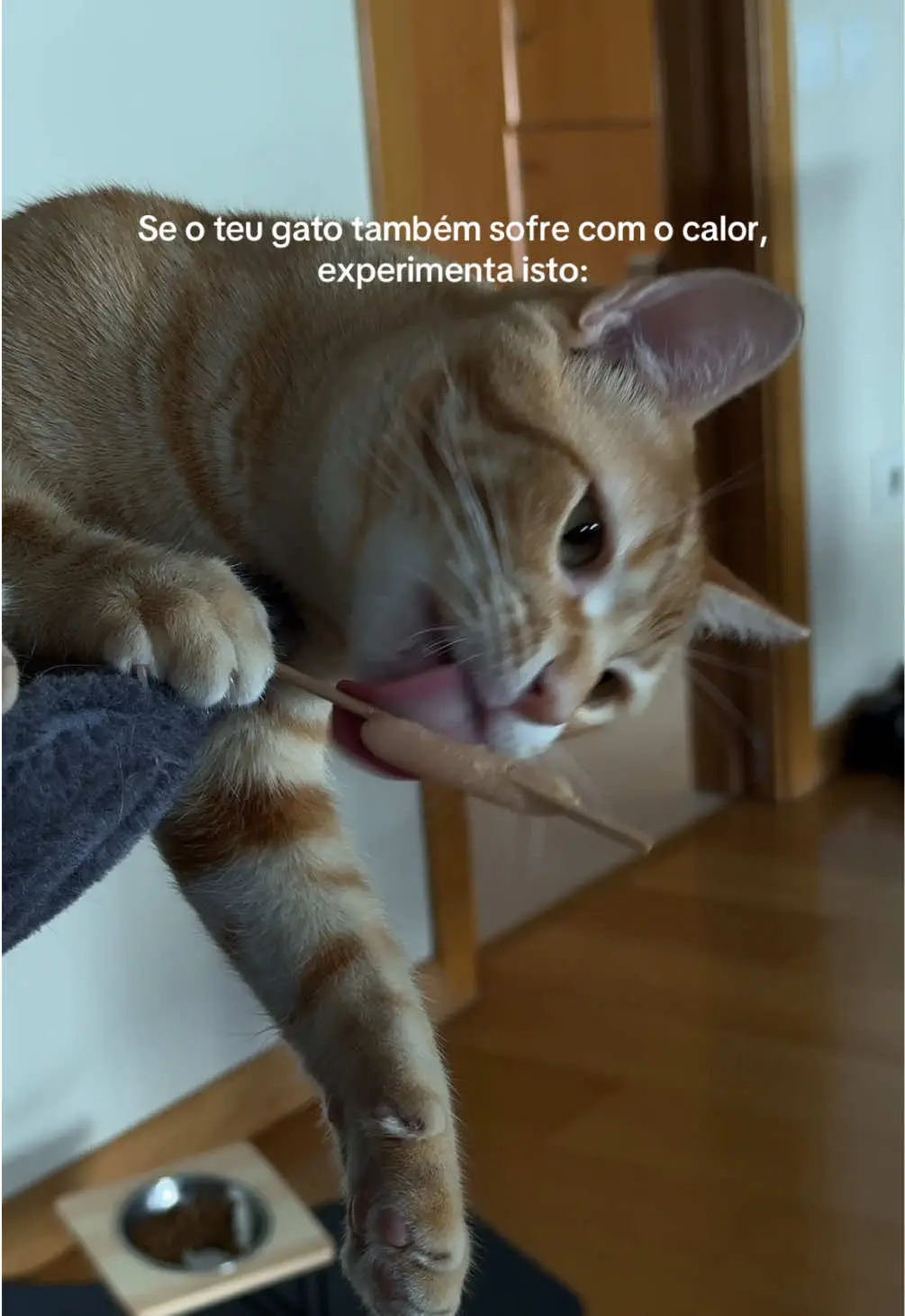 Tiktok post preview 2 from @joaspov