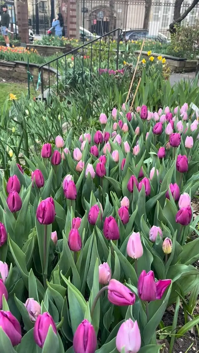 Instagram post thumbnail