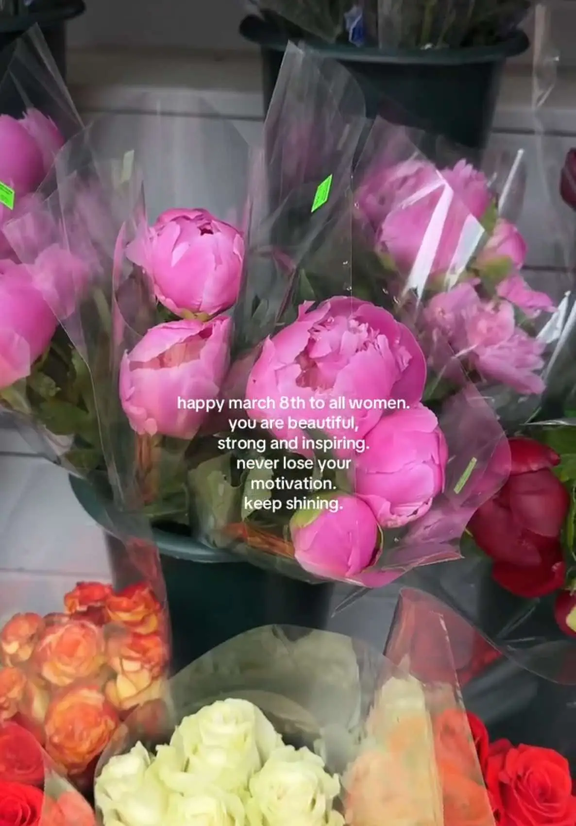 Tiktok post preview 2 from @saresha_ny