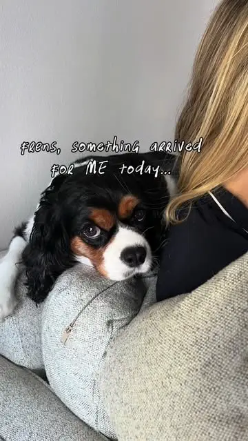 Instagram post thumbnail