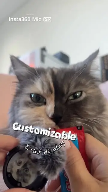 Instagram post thumbnail